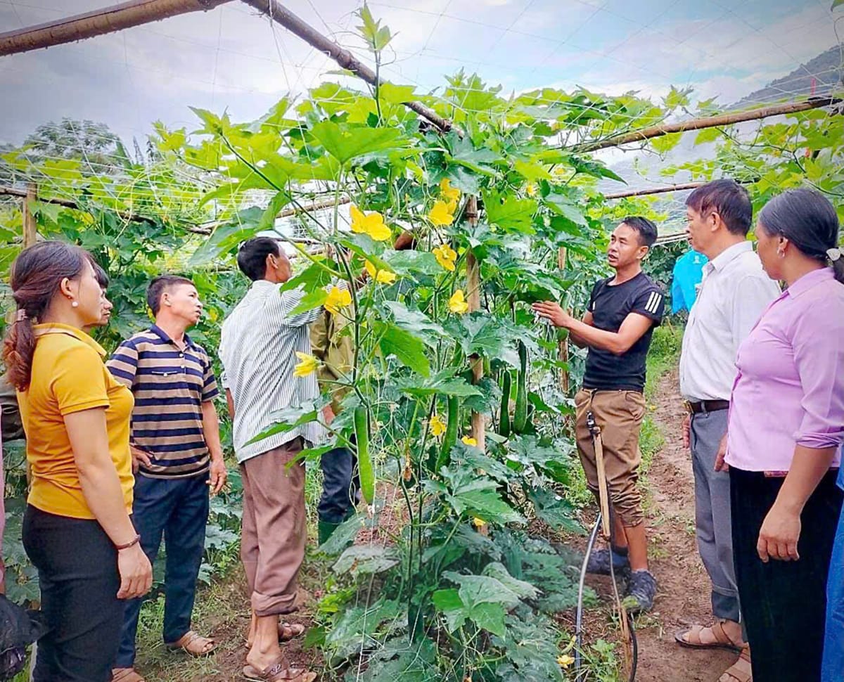 Nêu cao tinh thần trách nhiệm, gương mẫu của người đứng đầu